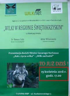 Gula Wykład o biologii i ekologii wilków w regionie świętokrzyskim na 28 Zjeździe Towarzystwa Badań i Ochrony Przyrody w Chęcinach (marzec 2018) R.