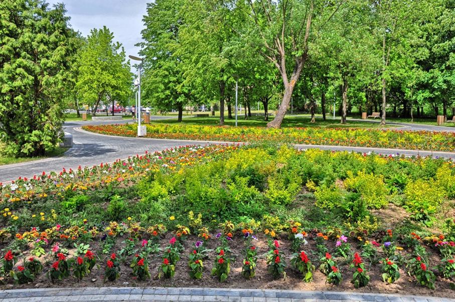 Park im. Adama Bienia - park położony między Starym Miastem a Osiedlem Północ, Zdjęcie: Park im. Adam Bienia Park Miejski im.