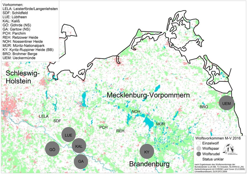 Aktualne występowanie wilka w Meklemburgii-Pomorzu Przednim