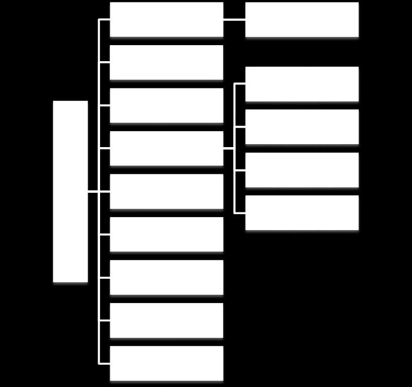 PAK KWBK: ZE PAK S.A. 96,23 %, pozostali 3,78 %, PAK KWBA: ZE PAK S.A. 98,41 %, pozostali 1,59 %. Struktura organizacyjna Aktywa wytwórcze ZE PAK S.A. obejmują cztery elektrownie opalane węglem brunatnym zlokalizowane w centralnej Polsce, w województwie wielkopolskim.