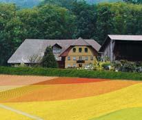 Koncepcja IT-Farming stworzyła z naszego terminala