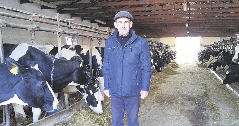 Fachowe doradztwo, dobór buhajów do kojarzeń sprawiły, że cielęta są żywe i zniknęły problemy z trudnymi porodami. Adam Florkowski Wziąchów, woj.