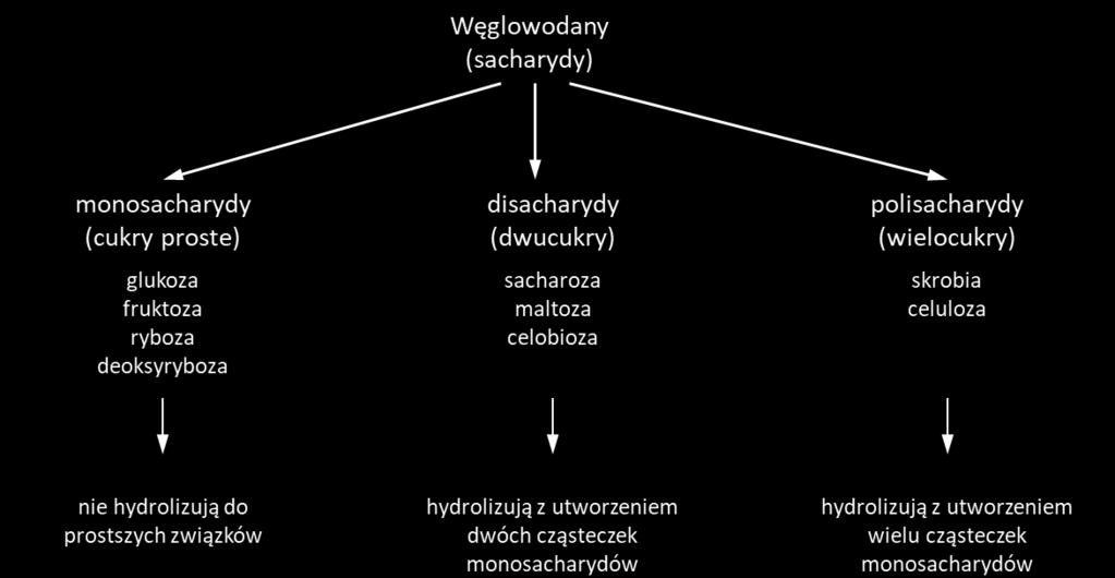 Rys. 1 Podział węglowodanów. Cukry można oznaczać ilościowo a także wywoływać na chromatogramach przy pomocy charakterystycznych substancji barwnych.