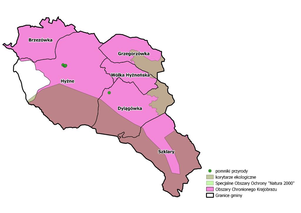 Rysunek 10. Występowanie form ochrony przyrody na terenie gminy Hyżne Źródło: opracowanie własne na podstawie geoserwis.gdos.pl I.5. WYNIKI BADANIA ANKIETOW EGO 5.1. Metodyka badania W dniach od 13.