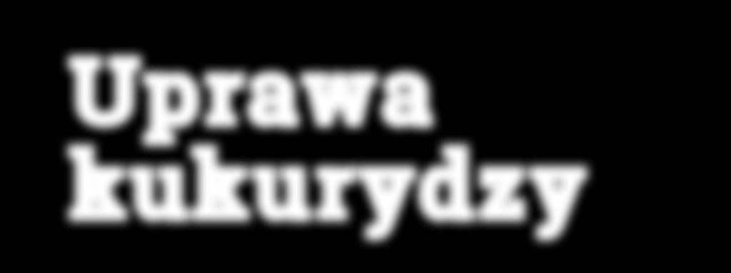 Próba glebowa: stwierdzenie nie więcej niż 25 osobników w próbie 250 g gleby.