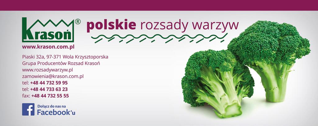strobiluryny + triazole Scorpion 25 SC (1 l/ha) (M) 28 28 Obecnie choroba występuje rzadko. Zabiegi wykonać z chwilą wystąpienia pierwszych objawów choroby, od fazy.