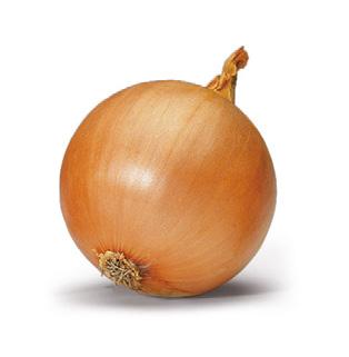GLEBOWE ORAZ PRZENOSZONE PRZEZ NASIONA (Pythium spp, Fusarium spp., Rhizoctonia spp., Botrytis spp., Phytophthora spp., Alternaria spp.