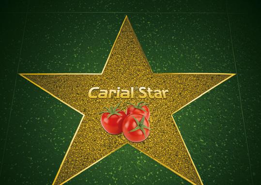 Carial Star Nowość w ochronie pomidorów Skuteczna ochrona pomidora przed zarazą a i alternariozą Ze środków ochrony roślin należy korzystać z zachowaniem bezpieczeństwa.