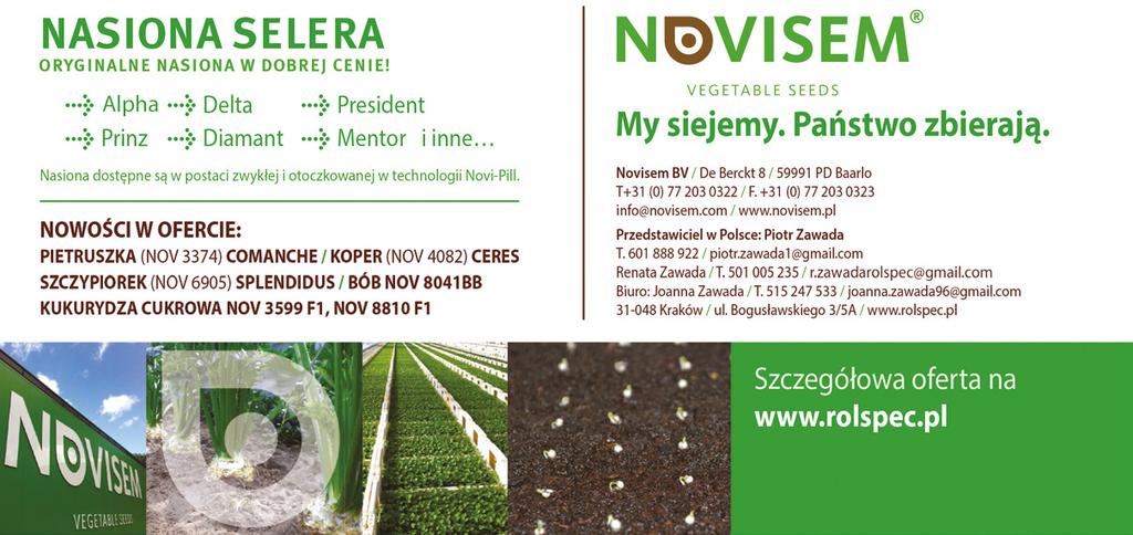 SZARA PLEŚŃ (Botrytis cinerea) RDZA (Puccinia asparagi) PURPUROWA PLAMISTOŚĆ PĘDÓW (Fusarium spp.