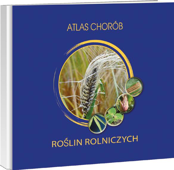 Atlas chorób roślin rolniczych to podręczny poradnik, dzięki któremu każdy rolnik
