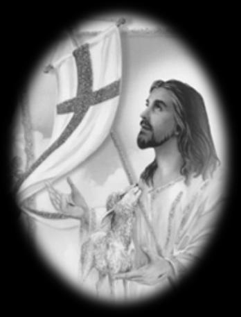 Z jakże wielką radością głoszę wam: Chrystus Zmartwychwstał! Chciałbym, aby ta wieść dotarła do każdego domu, każdej rodziny, zwłaszcza tam, gdzie jest najwięcej cierpienia.