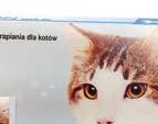 Dotychczas nie prowadzono badań nad immunoprofilaktyką, uznawanej za mało patogenną, Babesia vogeli oraz czwartego z dużych gatunków Babesia wykrytego w ostatnim czasie u psów w USA (12).