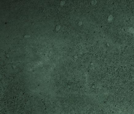koktajlowe, grzanki i parmezan, podawane na sałatach z sosem cezar i