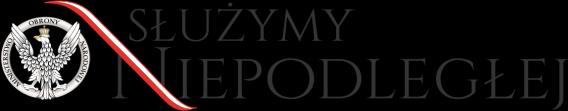 SPECYFIKACJA ISTOTNYCH WARUNKÓW ZAMÓWIENIA 41.