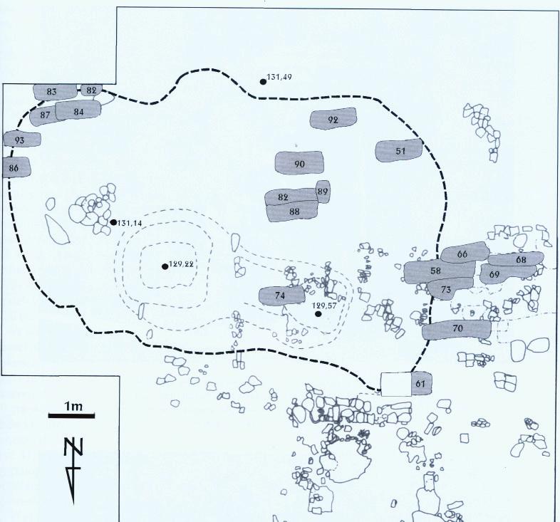 Ryc. 2. Ryczyn, gm. i pow. Oława, stanowisko 6. Plan wykopu XII z zaznaczonym zasięgiem wykopu Ludwika Brzeskiego (wg S. Moździoch, M. Przysiężna-Pizarska 2008, s.