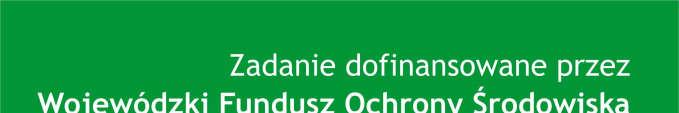 Sprawozdanie z badań i wstępna ocena stanu