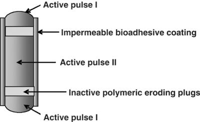 Doustny system bioadhezyjny BIOROD* (ang.
