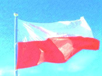 14 Portrety wykonały: Julia Pietszczyk, kl.0, Julia Królikowska, Amelka Rycerska, kl.2a, Amelka Rak, kl. 2b, Ania Reznik, kl.