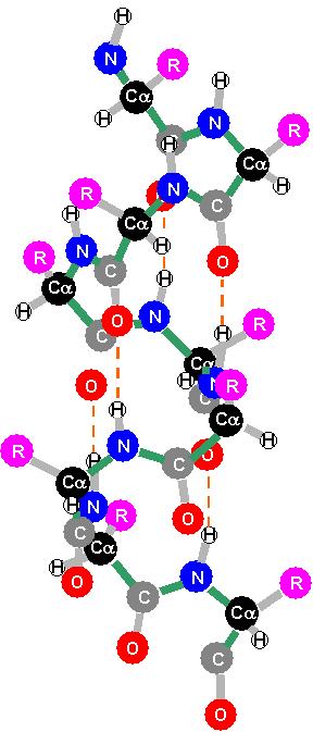 pary zasad adenina tymina guanina