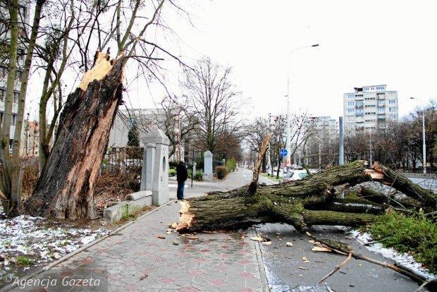 związanych z silnymi wiatrami 3000 2500