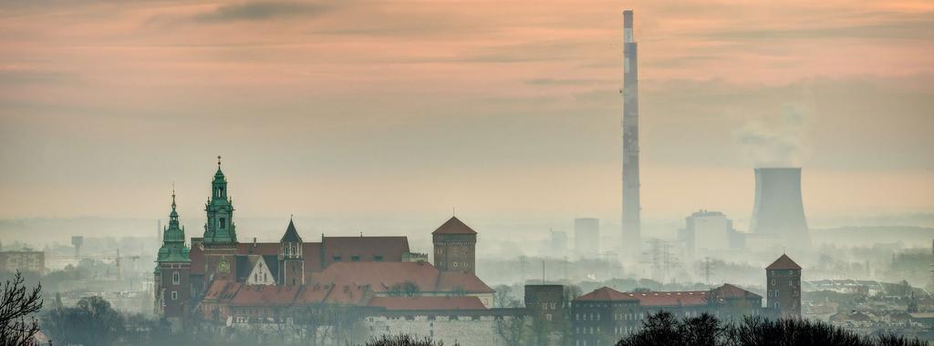 Wskutek szybkiego rozwoju przemysłu i transportu do atmosfery dostają się ogromne ilości szkodliwych substancji, takich jak pyły, sadza oraz gazy (m.in.