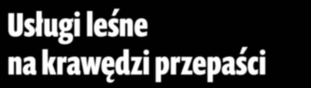 Grozi to upadkiem nie tylko branży usługowej, ale w konsekwencji także samych Lasów Pewnego razu dziennikarka przeprowadzająca wywiad z człowiekiem, którego nazwisko widnieje na liście stu