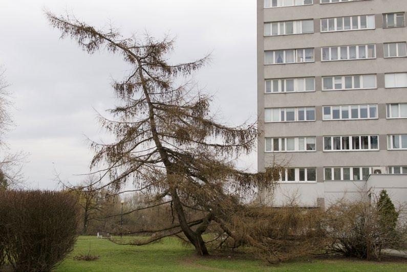 SPACERY ZREALIZOWANE W RAMACH PROJEKTU KATARZYNA NADARA Portret z zabytkiem w tle.