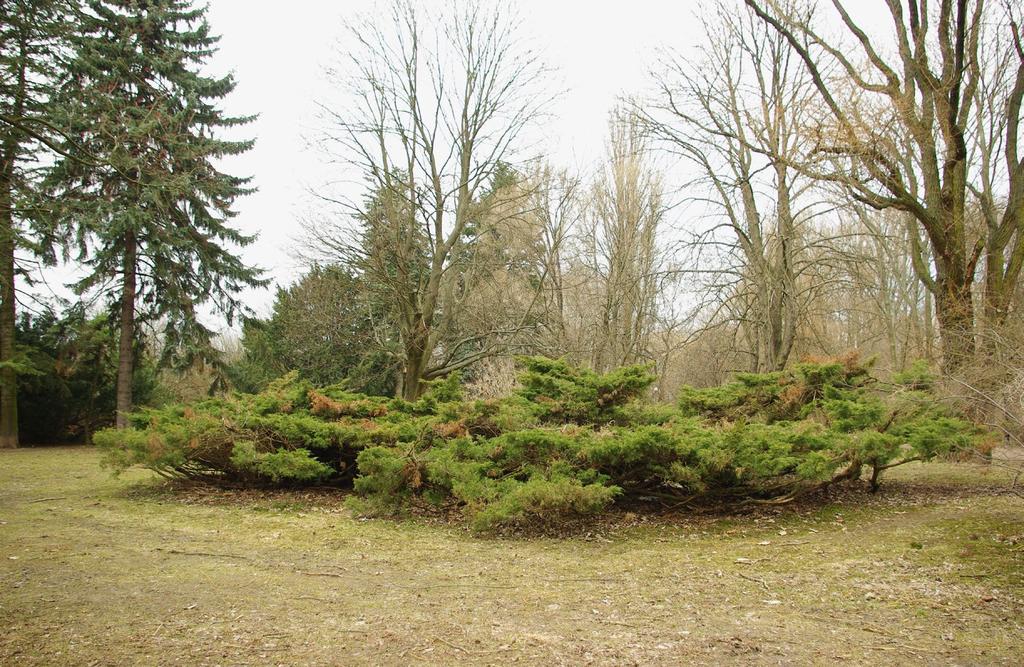 Pejzaż nadwiślański. To będą dobre wprawki przed wakacyjnymi wyjazdami. Jak fotografować naturę, wodę, drzewa i to w pełnym (mamy nadzieję) słońcu?