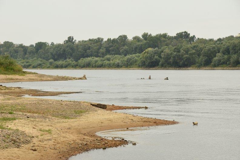 DAMIAN KĘDZIOREK Niedziela nad Wisłą. Pospacerujemy brzegiem mokotowskiej plaży, pozwiedzamy okolice Siekierek. Co tam znajdziemy?