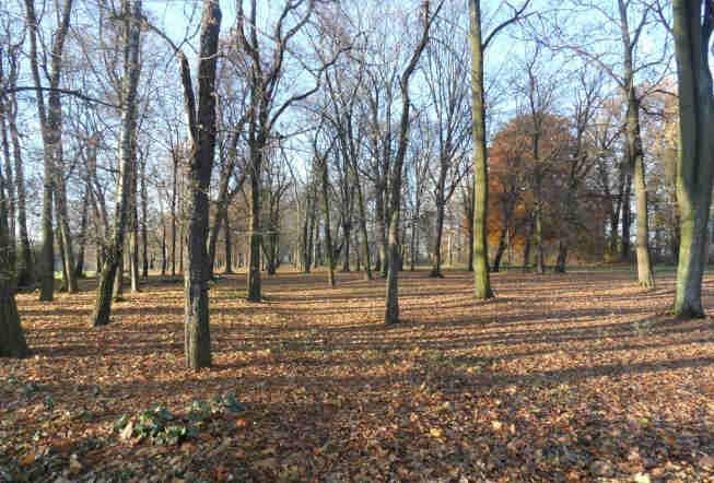 1/7, 140504_5.0020.1/8 i 140504_5.0020.3 prywatna park turystyka i rekreacja nie dotyczy zniszczony datowanie początek XX w. Fot.57-58.
