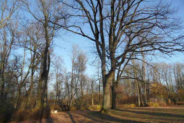 Dwór z zespołu dworskiego w Radoniach Dwór w Radoniach otoczony był przez park krajobrazowy, założony w połowie XIX w.