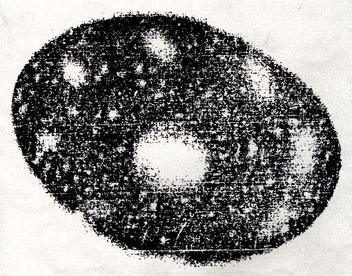 P-117 Rys. P15. Rozłożenie pędników UFO. Fotografia ta dokumentuje że pędniki magnokraftu i UFO położone są w identyczny sposób.