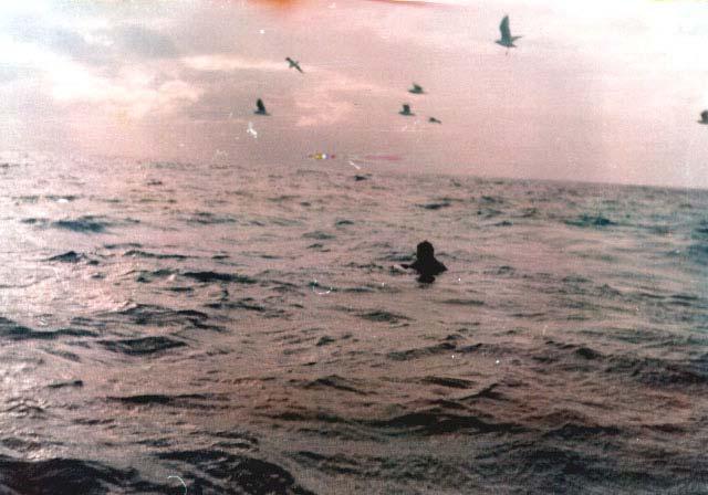 P-124 Rys. P22. Ekstremalnie szybko lecące UFO. Niezwykle szybko poruszające się UFO sfotografowane przez Mrs Edwards B.
