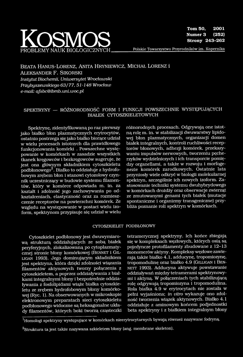pl SPEKTRYNY RÓŻNORODNOŚĆ FORM I FUNKCJI POWSZECHNIE WYSTĘPUJĄCYCH BIAŁEK CYTOSZKIELETOWYCH Spektrynę, zidentyfikowaną po raz pierwszy jako białko błon plazmatycznych erytrocytów, ostatnio postrzega