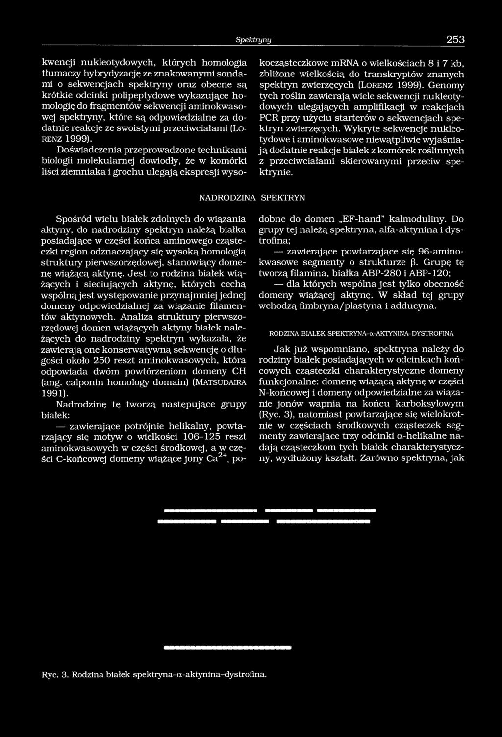 Doświadczenia przeprowadzone technikami biologii molekularnej dowiodły, że w komórki liści ziemniaka i grochu ulegają ekspresji wysokocząsteczkowe mrna o wielkościach 8 i 7 kb, zbliżone wielkością do