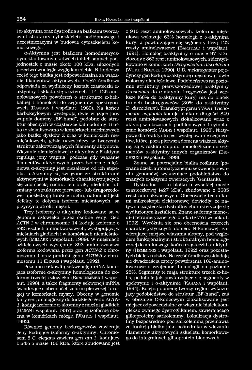 N-końcowa część tego białka jest odpowiedzialna za wiązanie filamentów aktynowych.