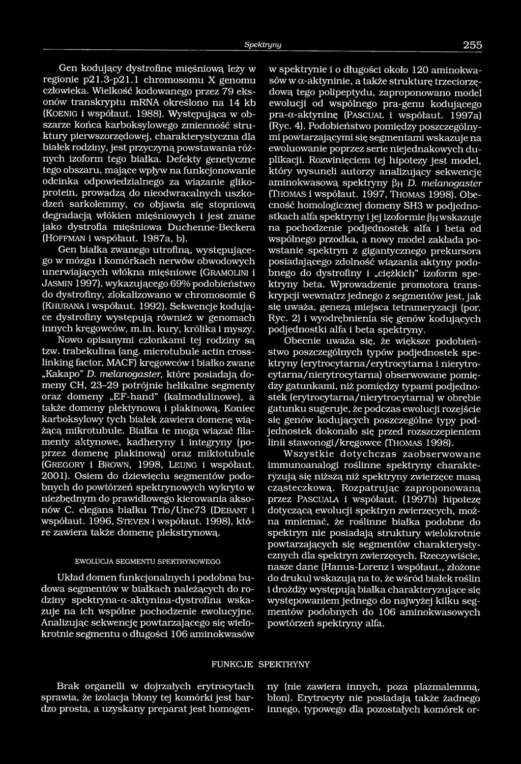 Występująca w obszarze końca karboksylowego zmienność struktury pierwszorzędowej, charakterystyczna dla białek rodziny, jest przyczyną powstawania różnych izoform tego białka.