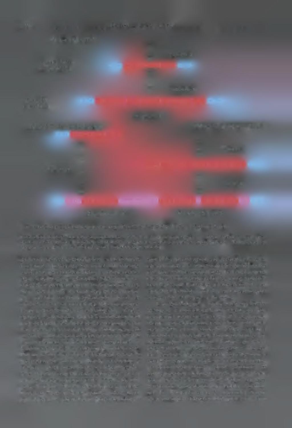256 B e a t a H a n u s -L o r e n z i w s p ó ła u t.
