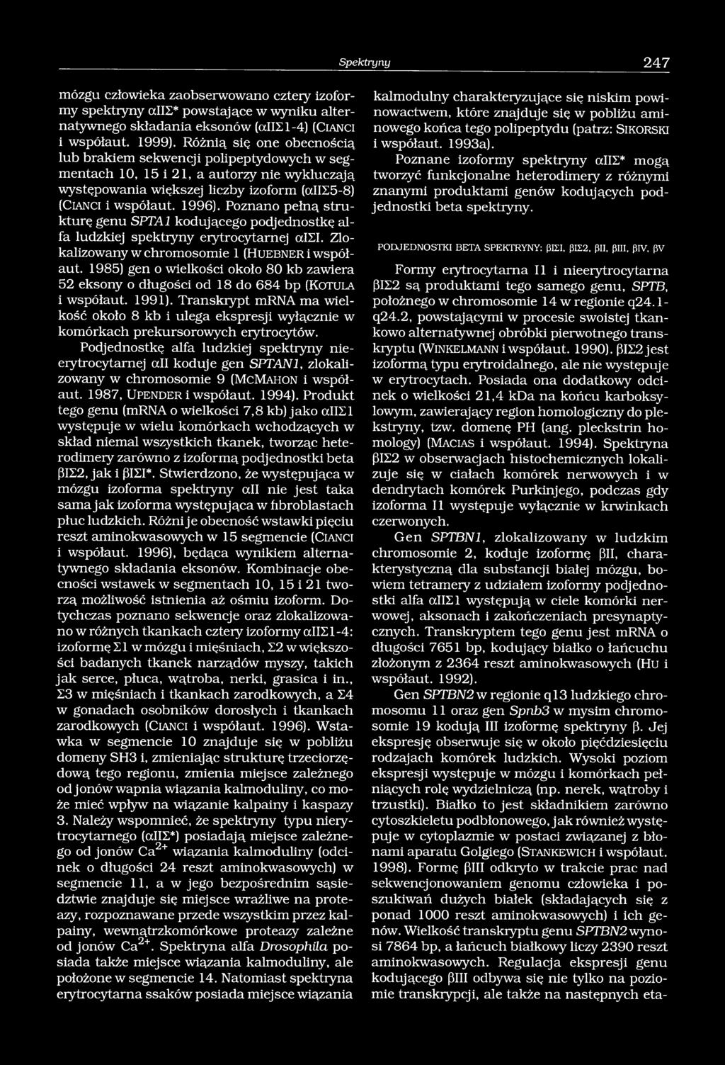 Poznano pełną strukturę genu SPTA1 kodującego podjednostkę alfa ludzkiej spektryny erytrocytarnej alei. Zlokalizowany w chromosomie 1 (H u e b n e r i współaut.