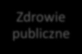 Sektory i obszary wrażliwe w mieście