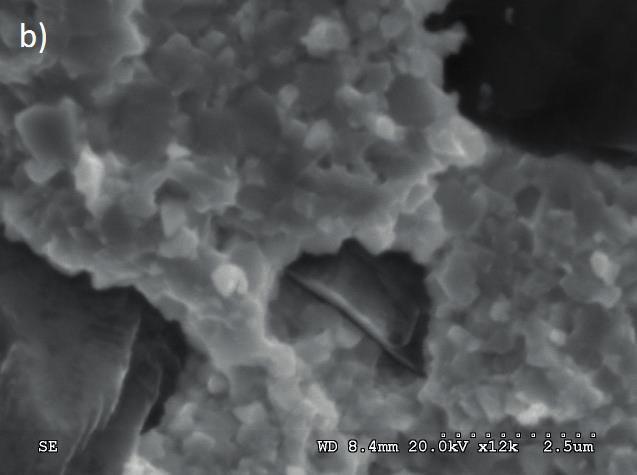 temperaturze 1050 C: a) obraz powierzchni zgład,