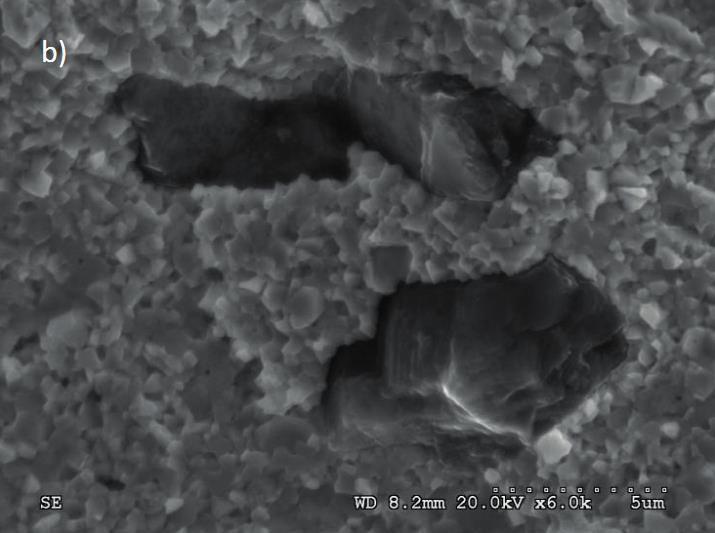 9.  temperaturze 1100 C przez 180 s: a) obraz