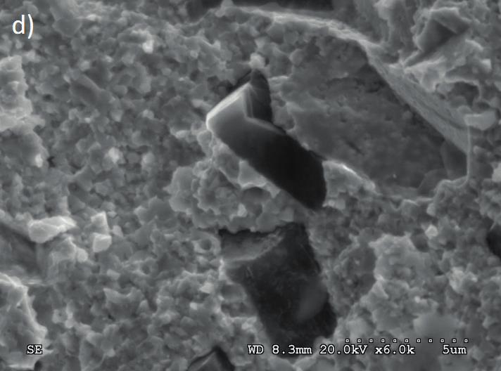 fracture and for 300 s: c) surface, d) fracture NR