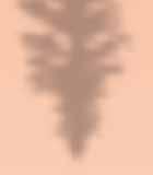 PUZZLE 54