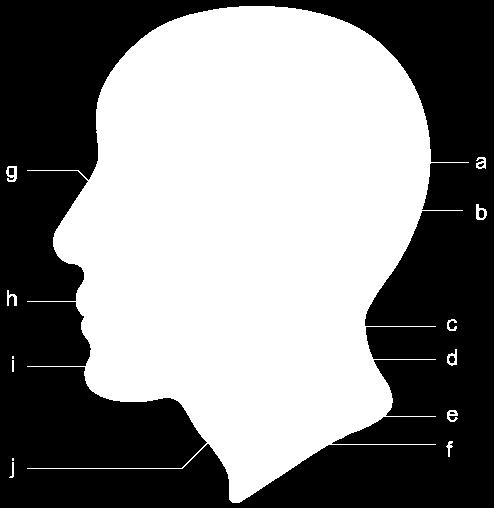 NEUROGENNA 