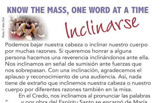 Anuncios Parroquiales 14 de Octubre de 2012 XXVIII Domingo del Tiempo Ordinario En aquel tiempo, cuando Jesús salía al camino se le acercó uno corriendo, se arrodillo y le preguntó: Maestro bueno,