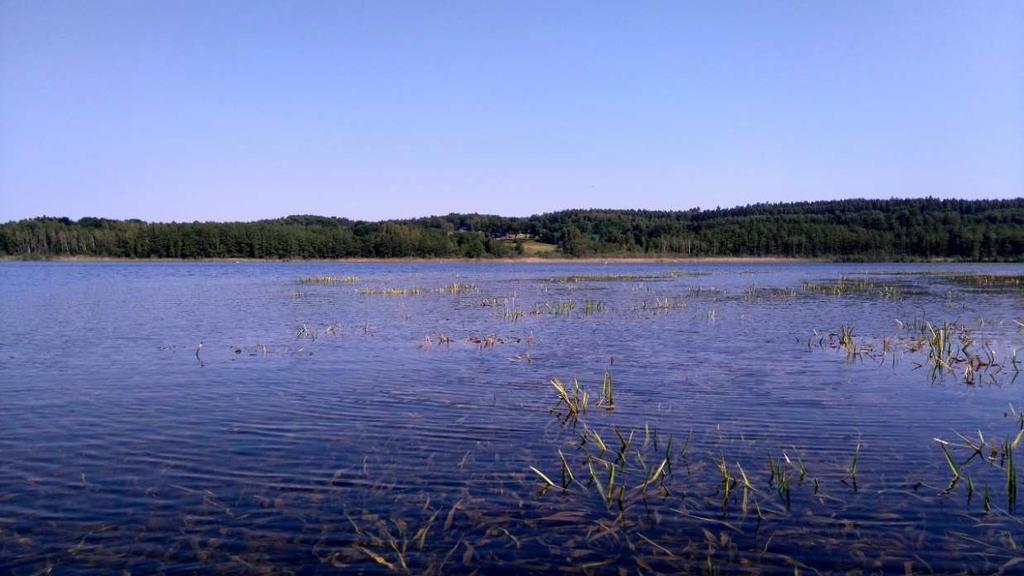 bilansowych- podzlewnie bilansowe i ustalono ich wielkości dla lat charakterystycznych, jakimi w tym przypadku są: rok suchy, rok mokry i rok średni- w układzie miesięcznym i średniorocznym.