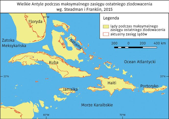 rys. Alina Gerlee skiego (Antigone canadensis), co wskazuje, że pochodził od któregoś z wymarłych gatunków północnoamerykańskich.
