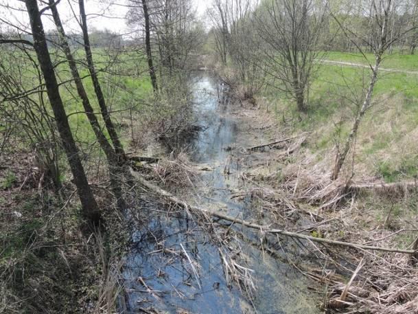 Stanowisko nr 2 Tabela 24. Charakterystyka stanowiska nr 2. Współrzędne geograficzne 51 23' 25.463" N, 23 7' 48.