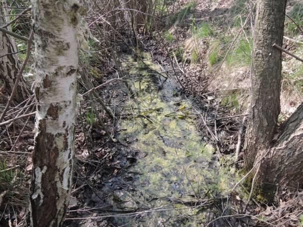 rzeki (nazwa rzeki) 0,17 km (Kanał Bogdanka Wola Wereszczyńska) Otoczenie zbiornika łąki, lasy, polna droga (a) (b) Fotografia 3 a,b Stanowisko nr 2. Stanowisko nr 3 Tabela 25.